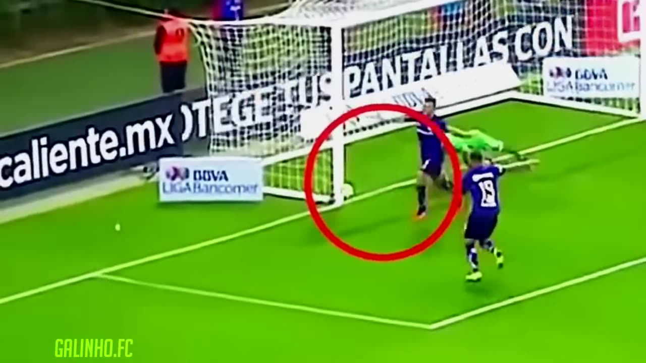 No matter what you do, it won't be a goal 🤣🤣