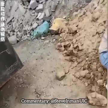 Darwin Award Contenders - Commentary by Steve Inman