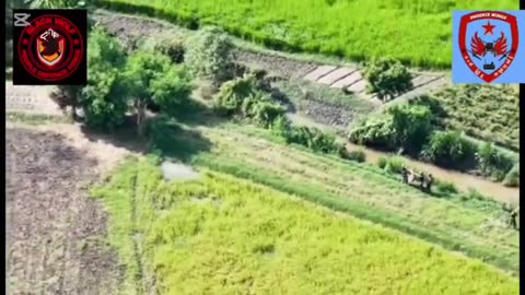 🦅💣 Myanmar War | Phoenix Wings Drone Unit Attacks Tatmadaw Forces | RCF