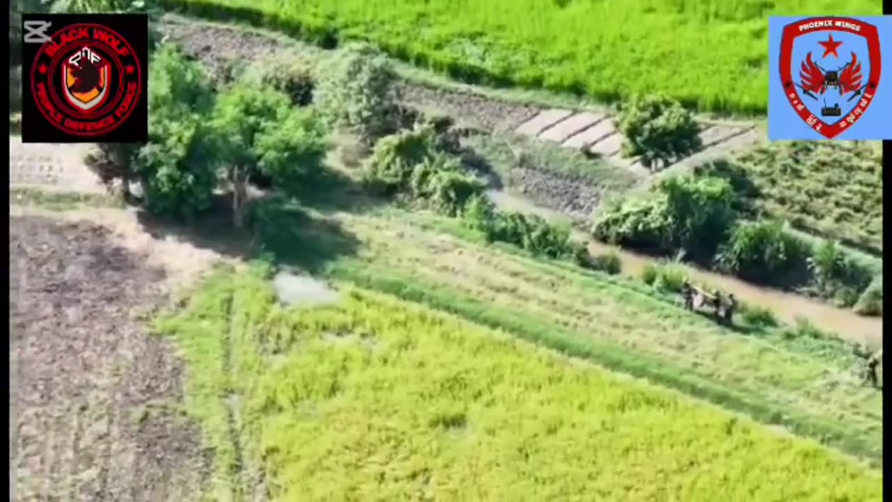 🦅💣 Myanmar War | Phoenix Wings Drone Unit Attacks Tatmadaw Forces | RCF