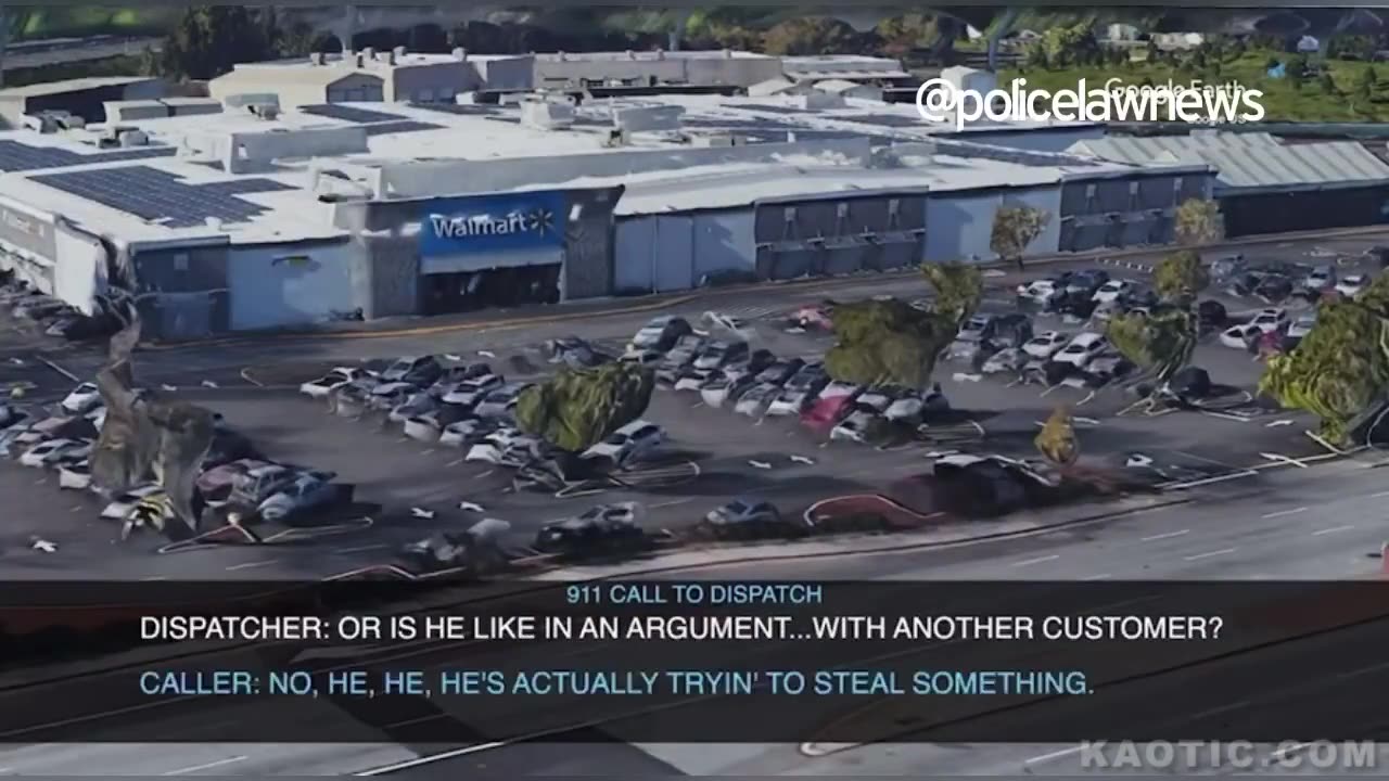 [Nigger] Thug with a Bat Meets Cop with a Gun