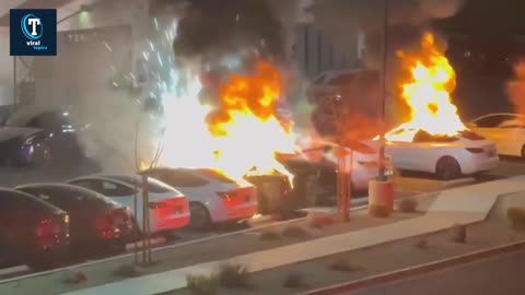 Explained_ Why is Elon Musk's Tesla hit by series of arson attacks