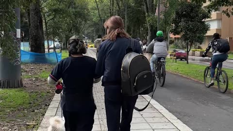 Started as a Peaceful Walk in the Park