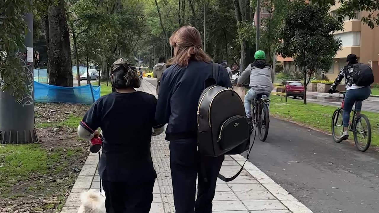 Started as a Peaceful Walk in the Park