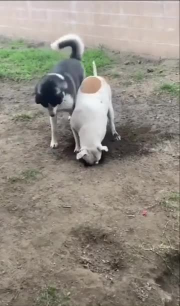 Stop! We Have Been Spotted