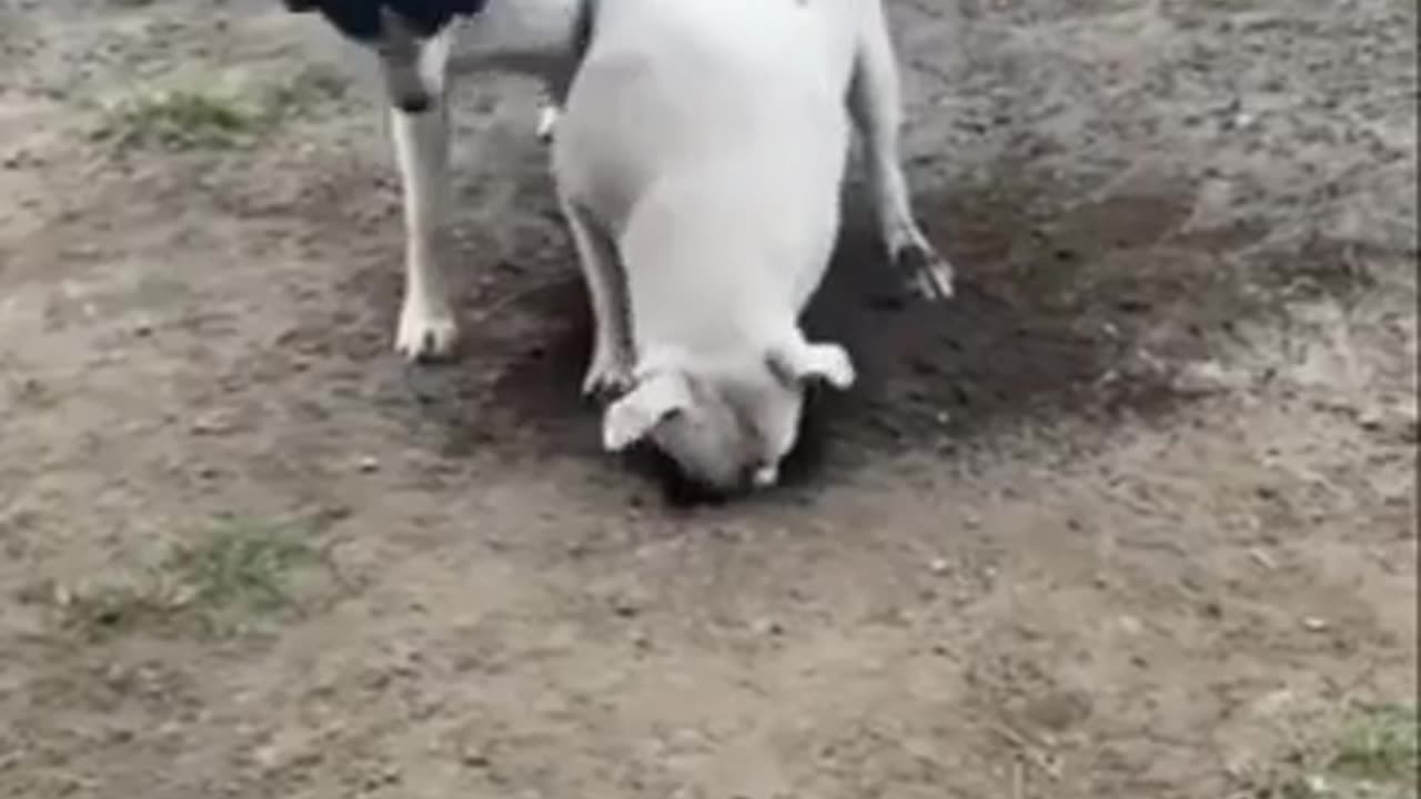 Stop! We Have Been Spotted