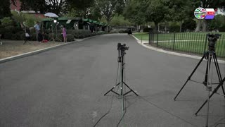TWO CATS U.S. POLITICAL NEWS
