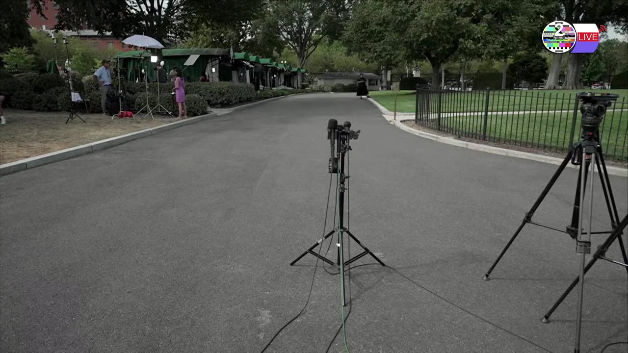TWO CATS U.S. POLITICAL NEWS