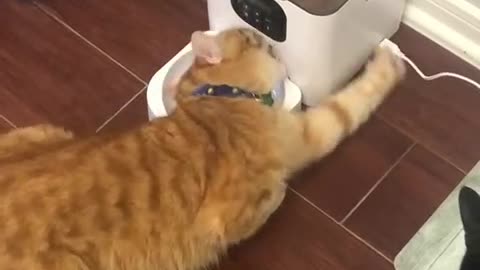 The system malfunctioned 😁 Follow us: CRAZY VIDEOS 🤪