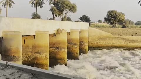 My Village ❤❤ #maxrecords #villagelife #larkana #sindh #pakistan