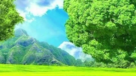 Title my photography nature viwes