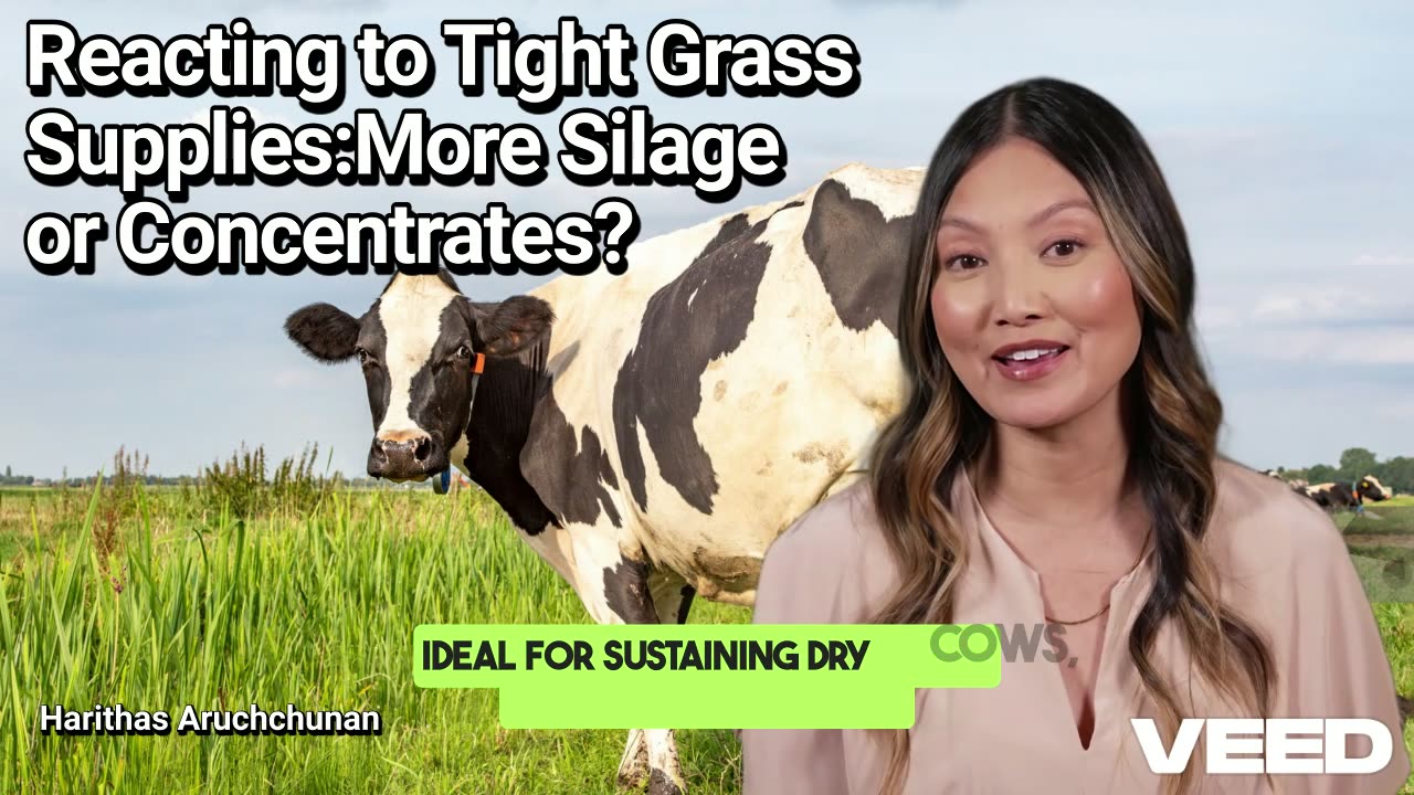 Reacting to Tight Grass Supplies:More Silage or Concentrates
