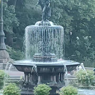 BAN horse-drawn carriages in New York City.