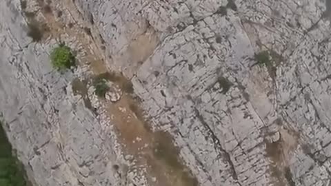 Zipline Goes Wrong