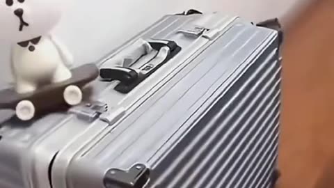 Cat's comedy Videos 🤣 so cute videos 😍 funny videos 🤣