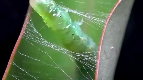 Getting ready for the Transformation