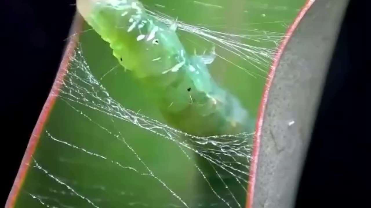 Getting ready for the Transformation