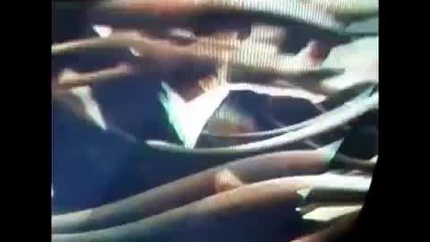 o feiticeiro e a serpente branca COMPLETO.mp4