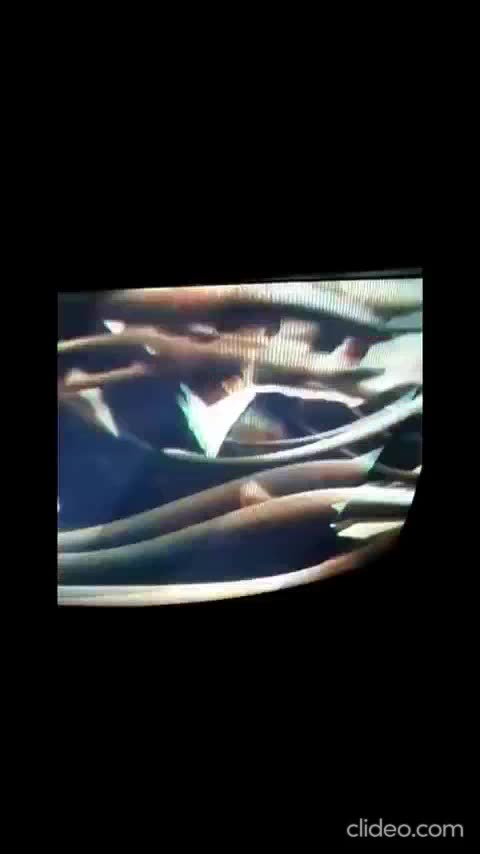 o feiticeiro e a serpente branca COMPLETO.mp4