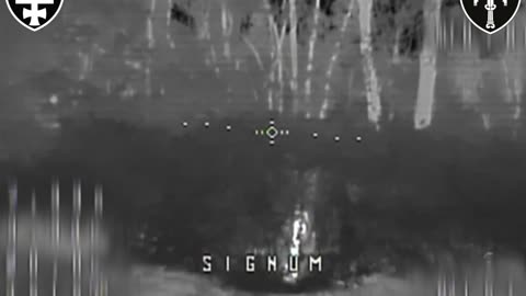 Ukrainian FLIR Drones Spot Russian Artillery Gun Hidden in the Undergrowth