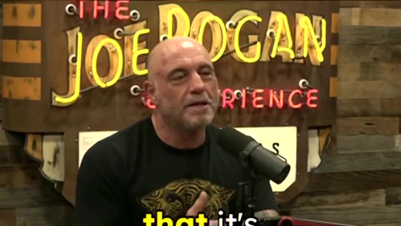 Chips for Instant Knowledge - Bret Weinstein and Joe Rogan