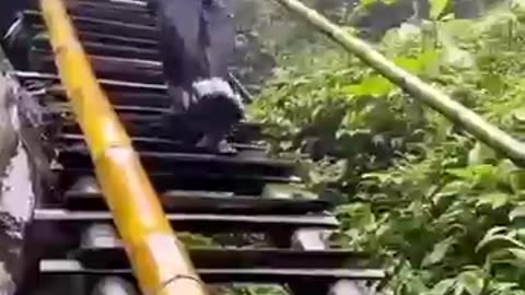 Epic funny video 😂😂