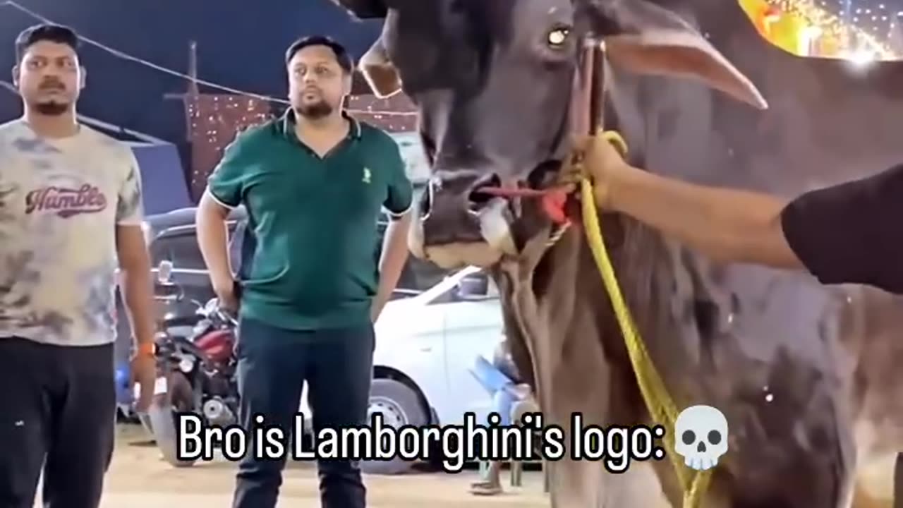 Lamborghini s logo 🔥☠️