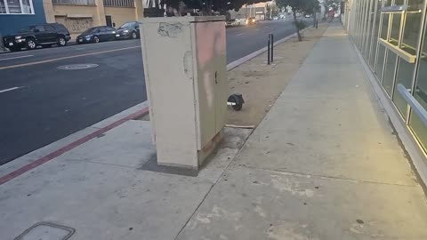 Walking stream after a lot of soup