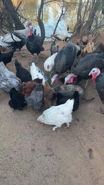 Snacks are for Everyone!!!