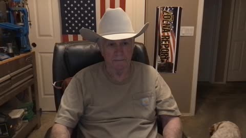 10 Wet Cat Foods To Avoid At All Costs, And A Few That Are Safe, Part 1!