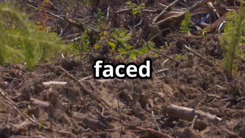 Canada Bans Walking in Forests: The Truth About Climate Lockdowns