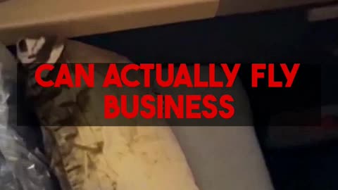 Mighty Travels Premium crash courses: Learn to fly Business & stay 5-star for less. Start...