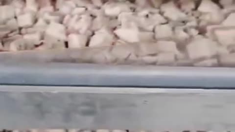 smart fruit and vegetable freeze dryer