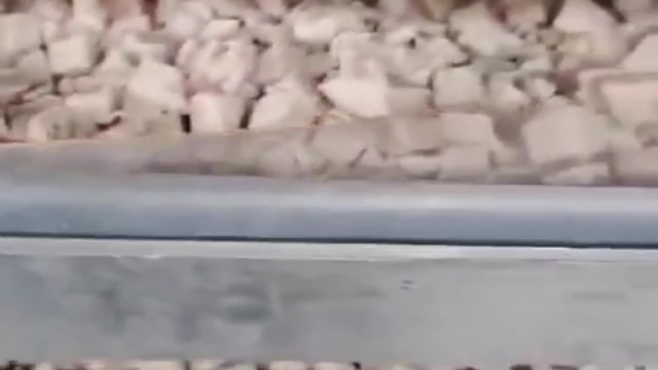 smart fruit and vegetable freeze dryer