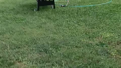 Yard work