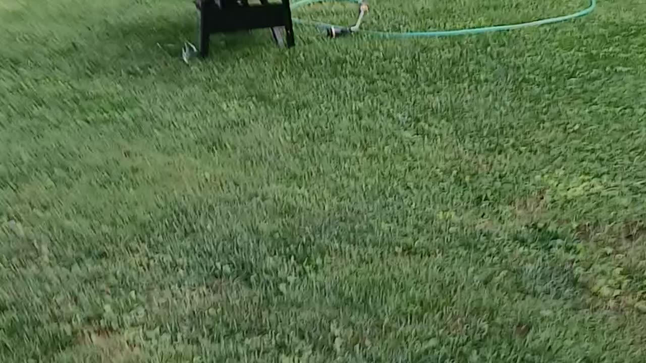 Yard work