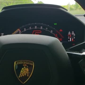 Country Boy Driving a Lamborghini