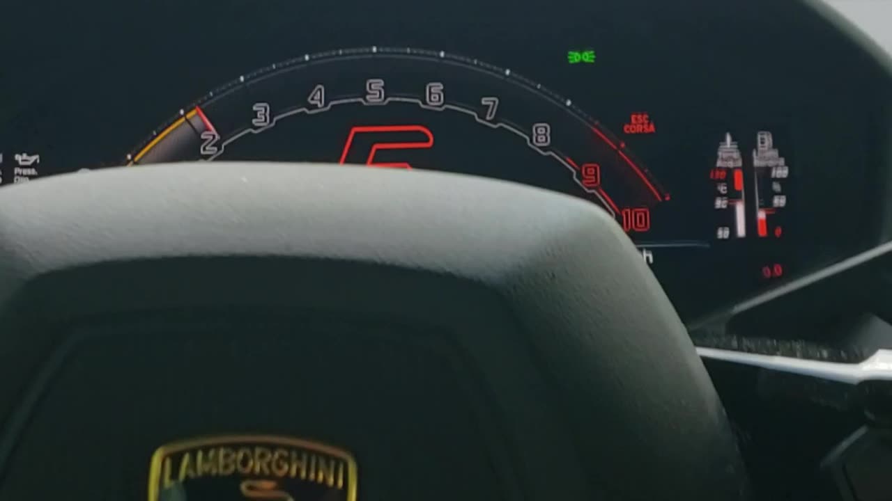 Country Boy Driving a Lamborghini