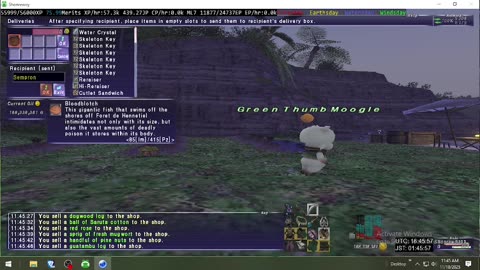 Playing Final Fantasy XI Online