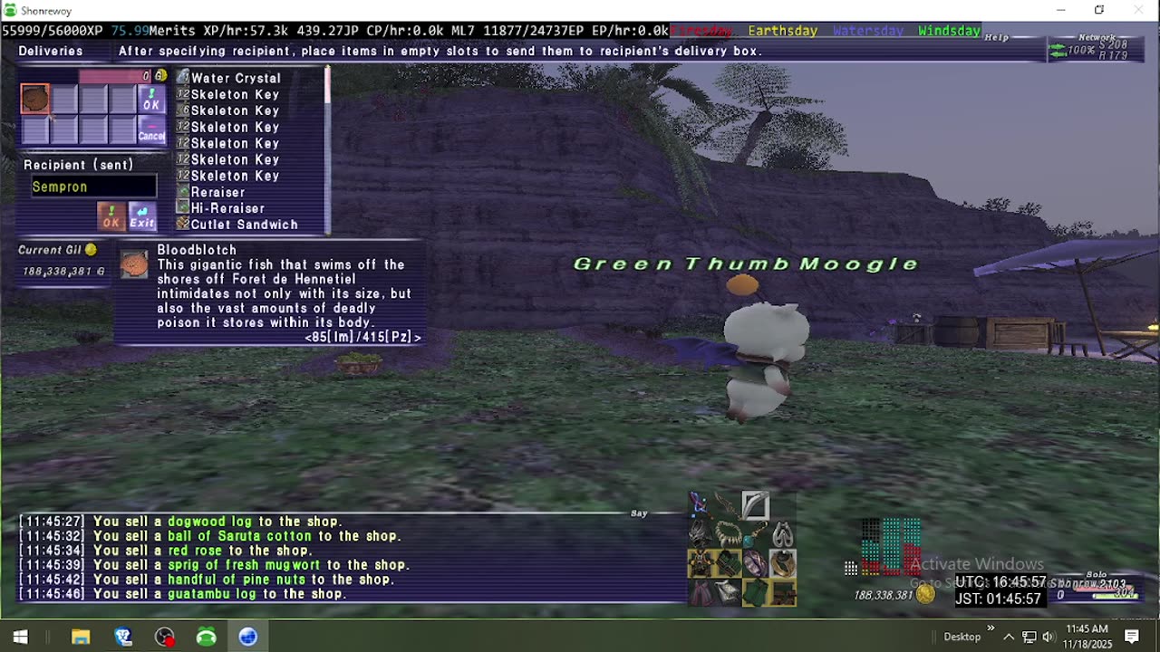 Playing Final Fantasy XI Online