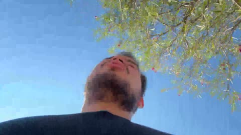 Random Stream IRL