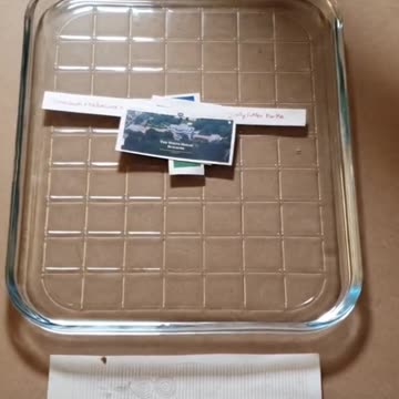 Tim Rifat TikTok Videos