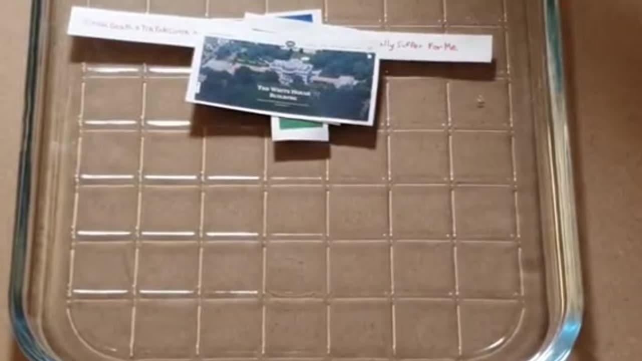 Tim Rifat TikTok Videos