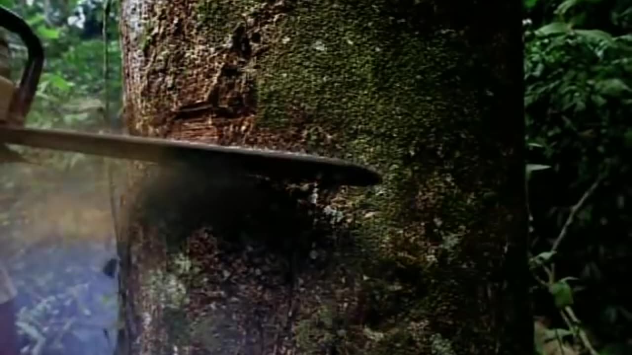 Earth song