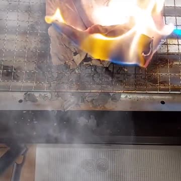 Tim Rifat TikTok Videos