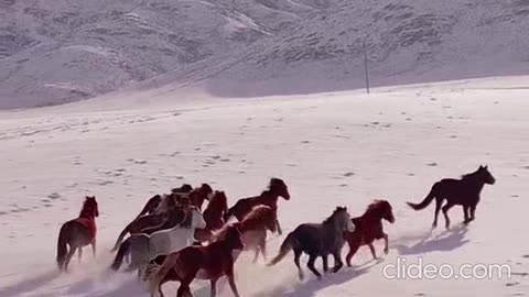 o naufragio do titanic completo 2.mp4