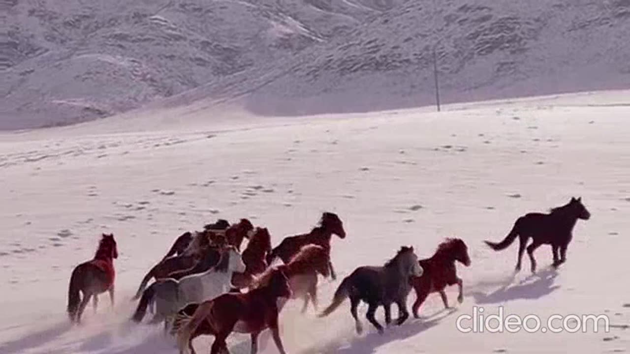 o naufragio do titanic completo 2.mp4