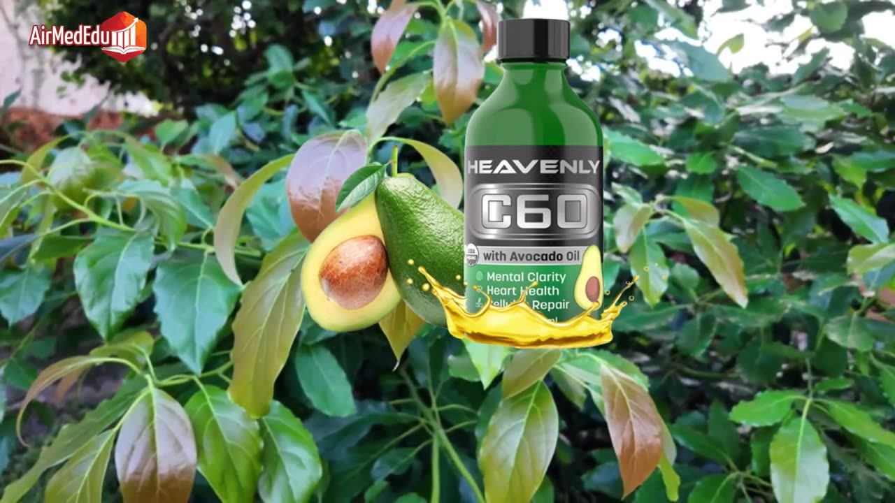 20 Health Benefits of Avocado Leaves