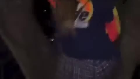 😂👀 This Cool Show is INSANE! | FunFM