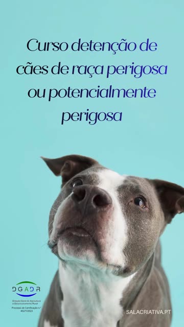 ⚠CURSO PARA A DETENÇÃO DE CÃES DE RAÇA PERIGOSA⚠